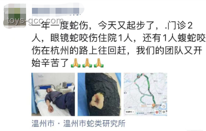女生河边散步被蝮蛇咬伤脚应急处理